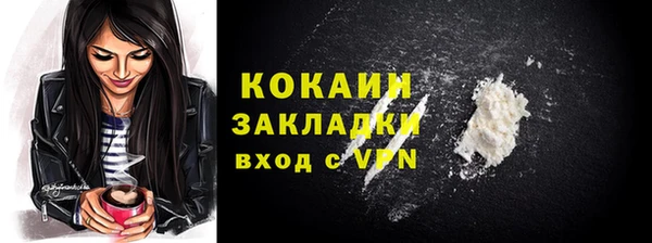 шишки Горно-Алтайск