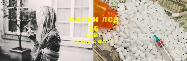 шишки Горно-Алтайск