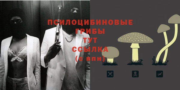 шишки Горно-Алтайск