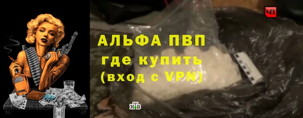 шишки Горно-Алтайск