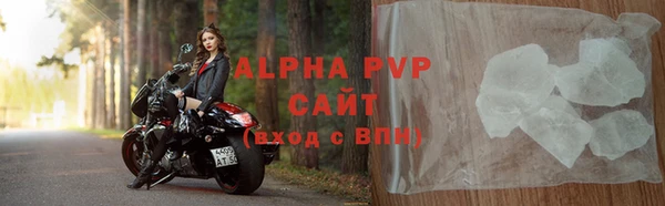 шишки Горно-Алтайск