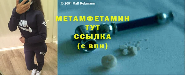 шишки Горно-Алтайск