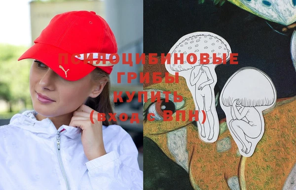 марки nbome Горнозаводск