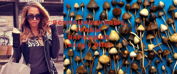 кокаин перу Горняк