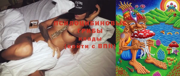 шишки Горно-Алтайск