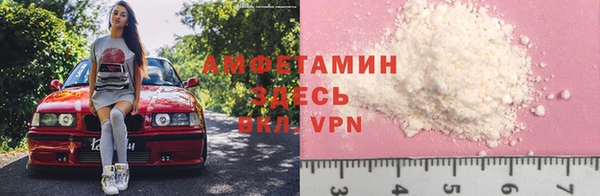 шишки Горно-Алтайск